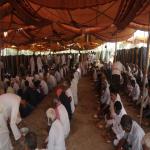 Vraj-Yatra-2014- (2545)